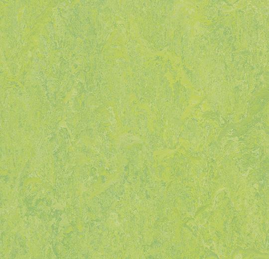 Marmoleum Modular - T3258 Refreshing Green