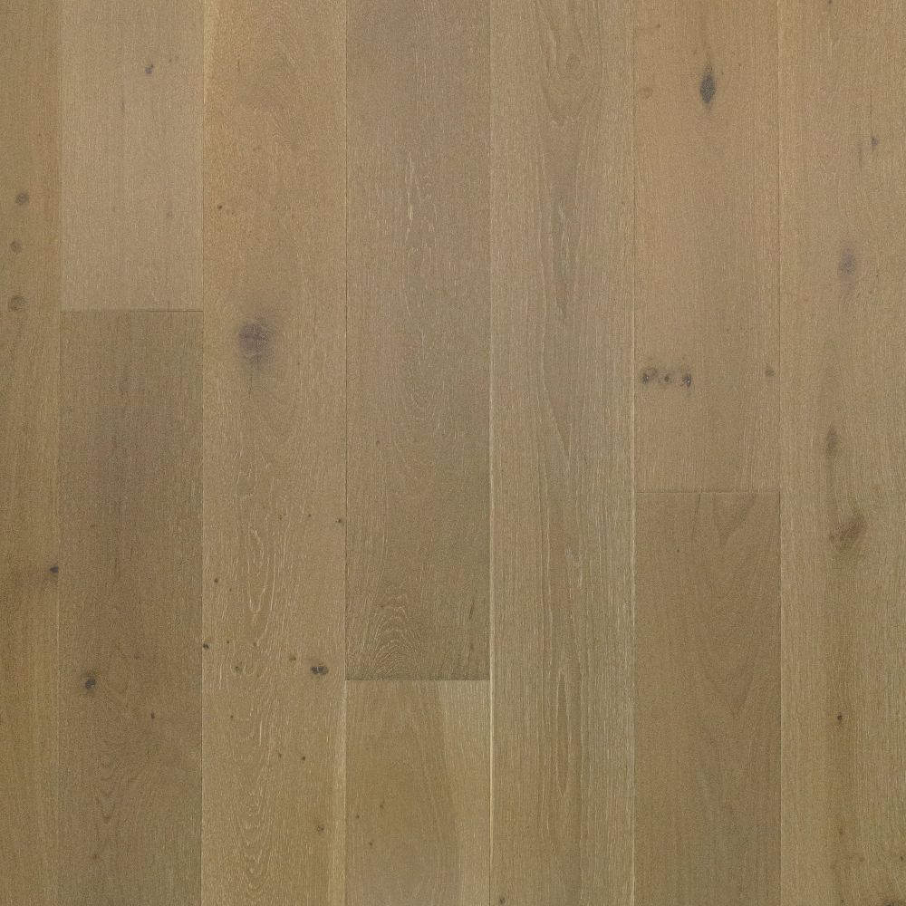 W Series - W-02 Euro Oak