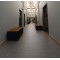 Marmoleum Real - 2629 Eiger