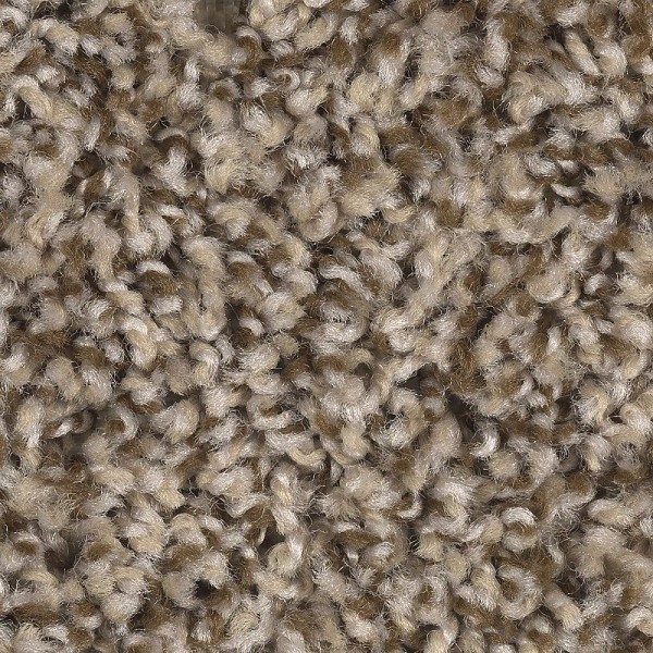 Seeker - 739 Coastal Beige