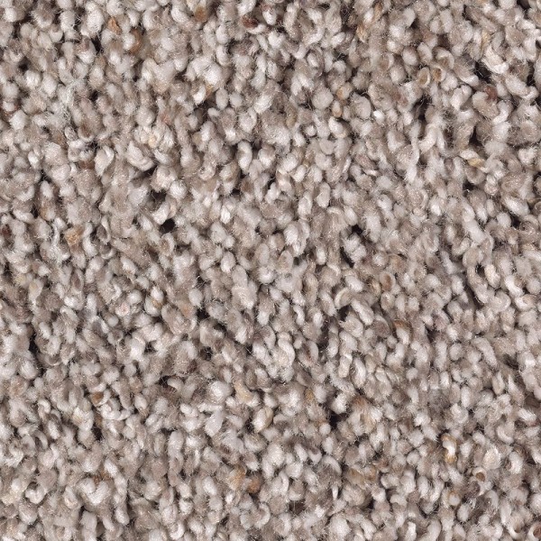 Soft Sensations II - 849 Studio Taupe