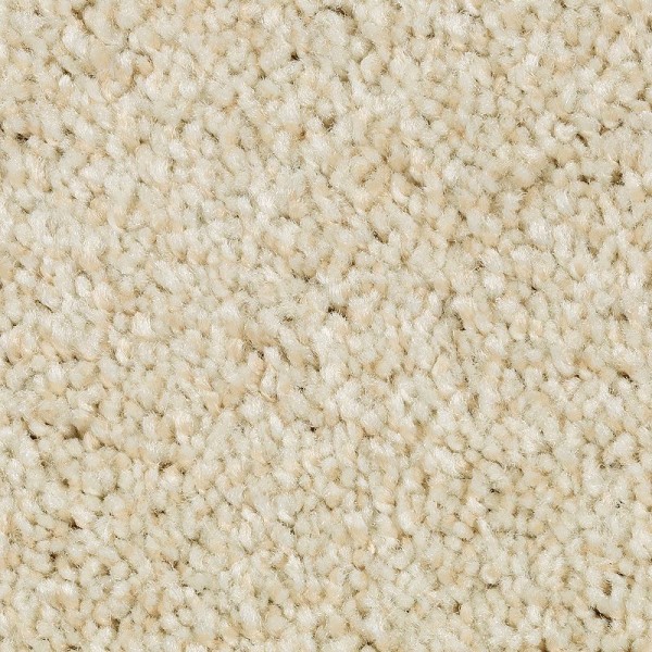 Tonal Chic II - 736 Crumb Cookie