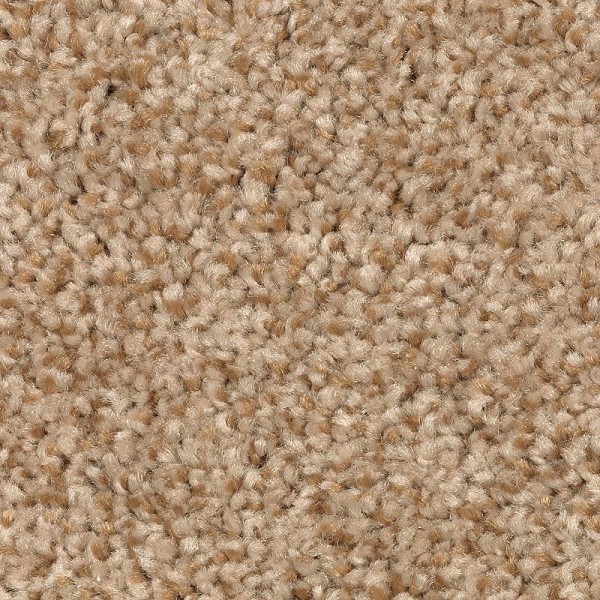 Tonal Chic II - 752 Warm Nutmeg