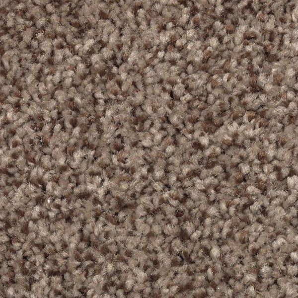 Tonal Chic II - 858 Royal Pecan