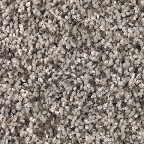 Soft Dimensions I - 849 Taupe Whisper