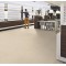 Marmoleum Concrete - 3711 Cloudy Sand