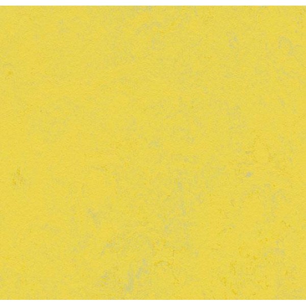 Marmoleum Concrete - 3741 Yellow Glow