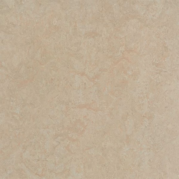 Marmoleum Click Cinch Loc - 933871-333871 Silver Birch