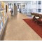 Marmoleum MCT 2.0mm Tile - MCT-707 Barley